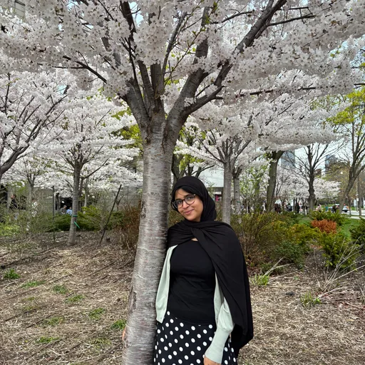 Hamdah S.