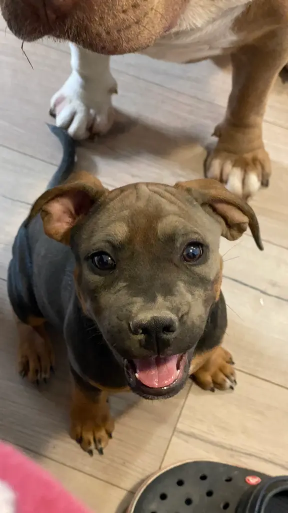 My love, Lily!