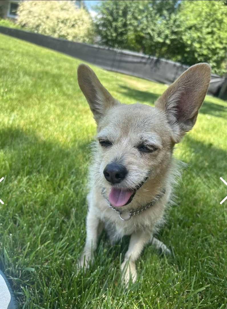 Toby-Anne D. — photo 3