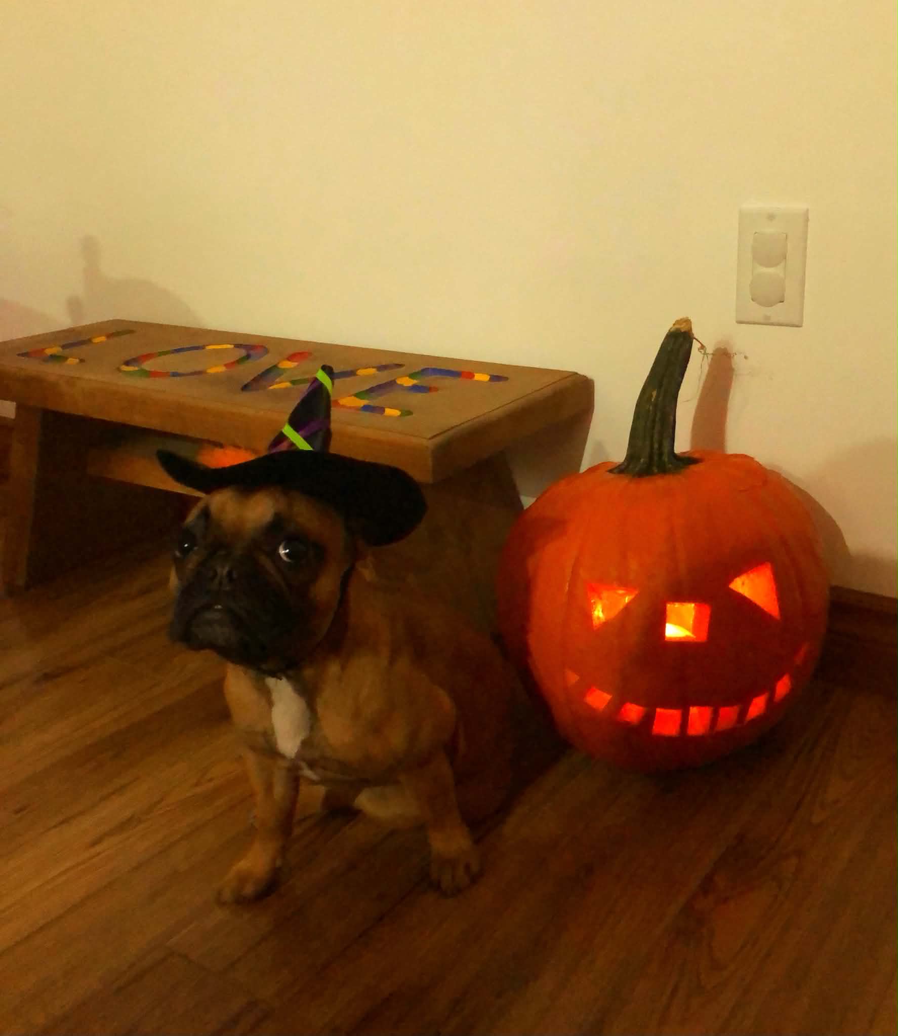 Happy Halloween