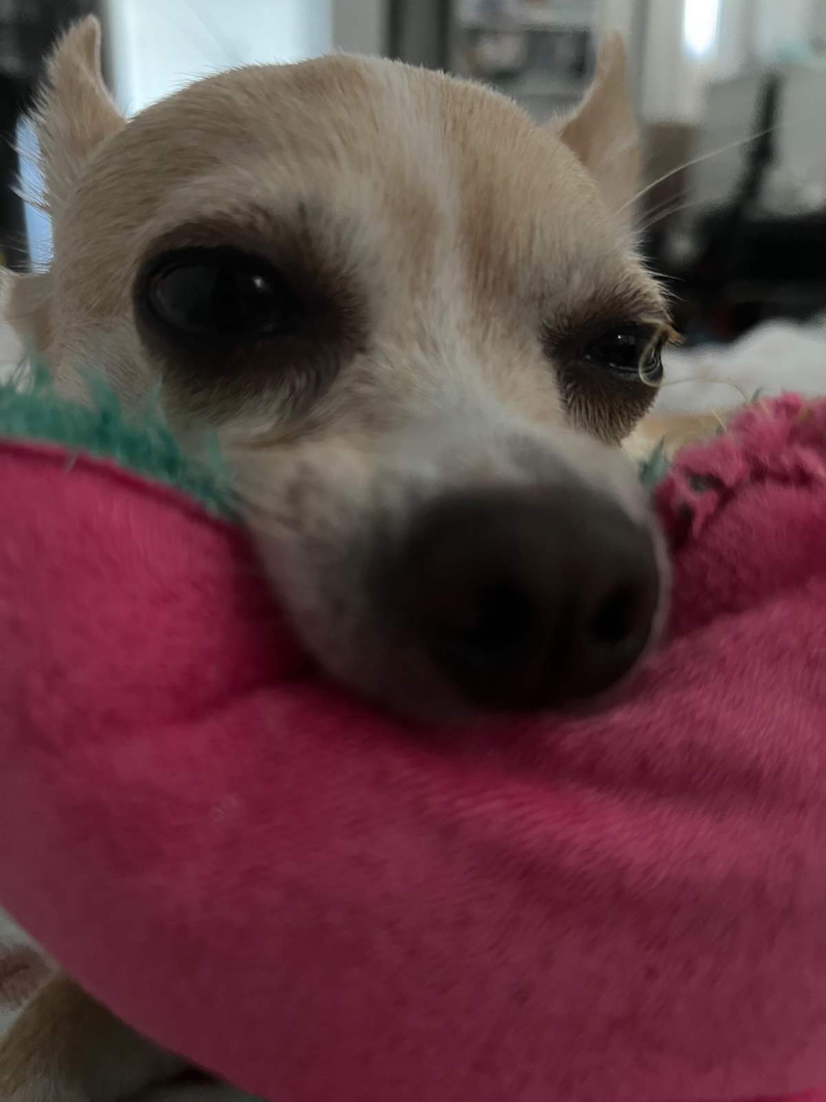 Oscar S. — photo 1