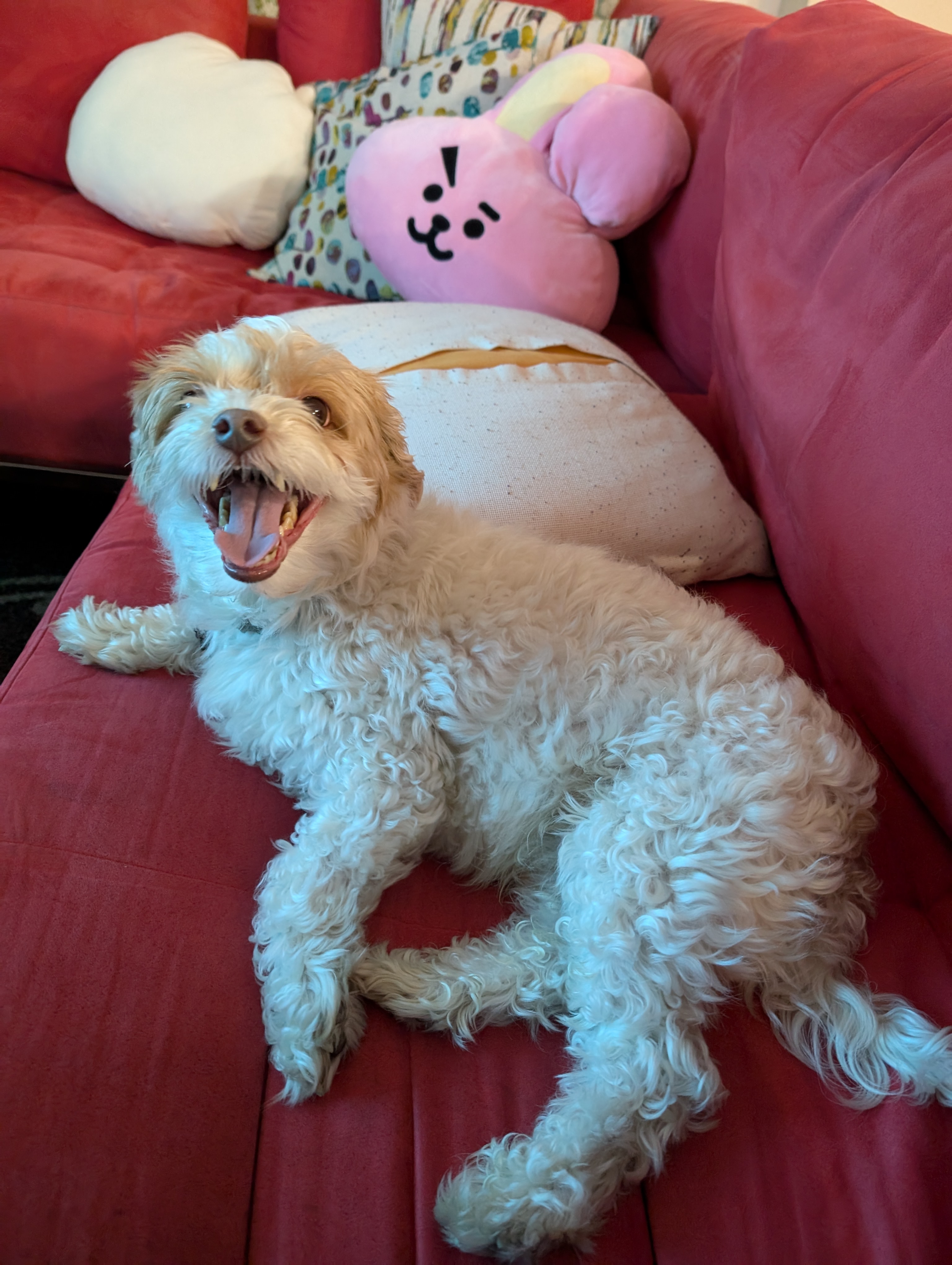 A very happy Bailey