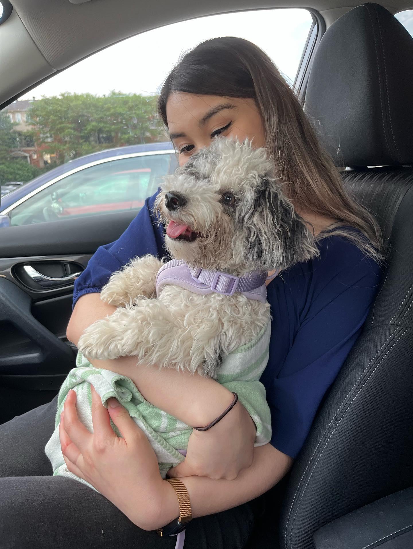 Taking care of Sumi