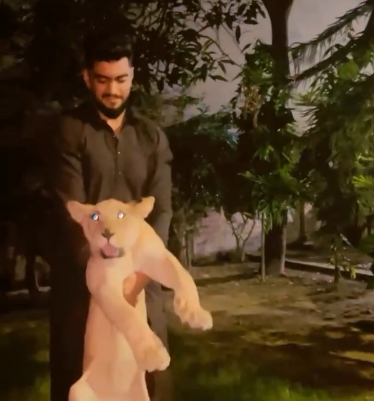 Shahzada A. — photo 3
