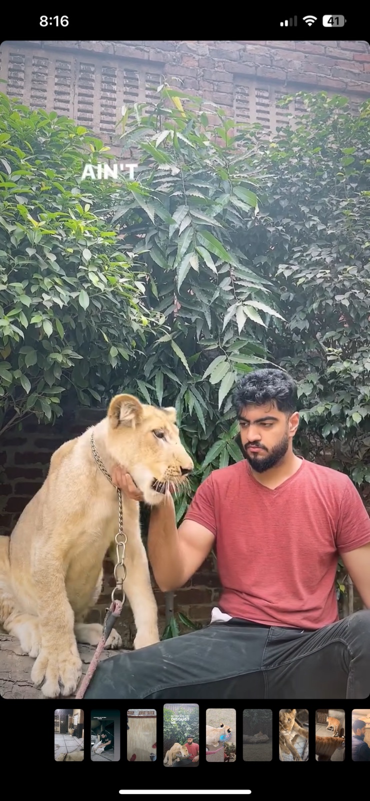 Shahzada A. — photo 2