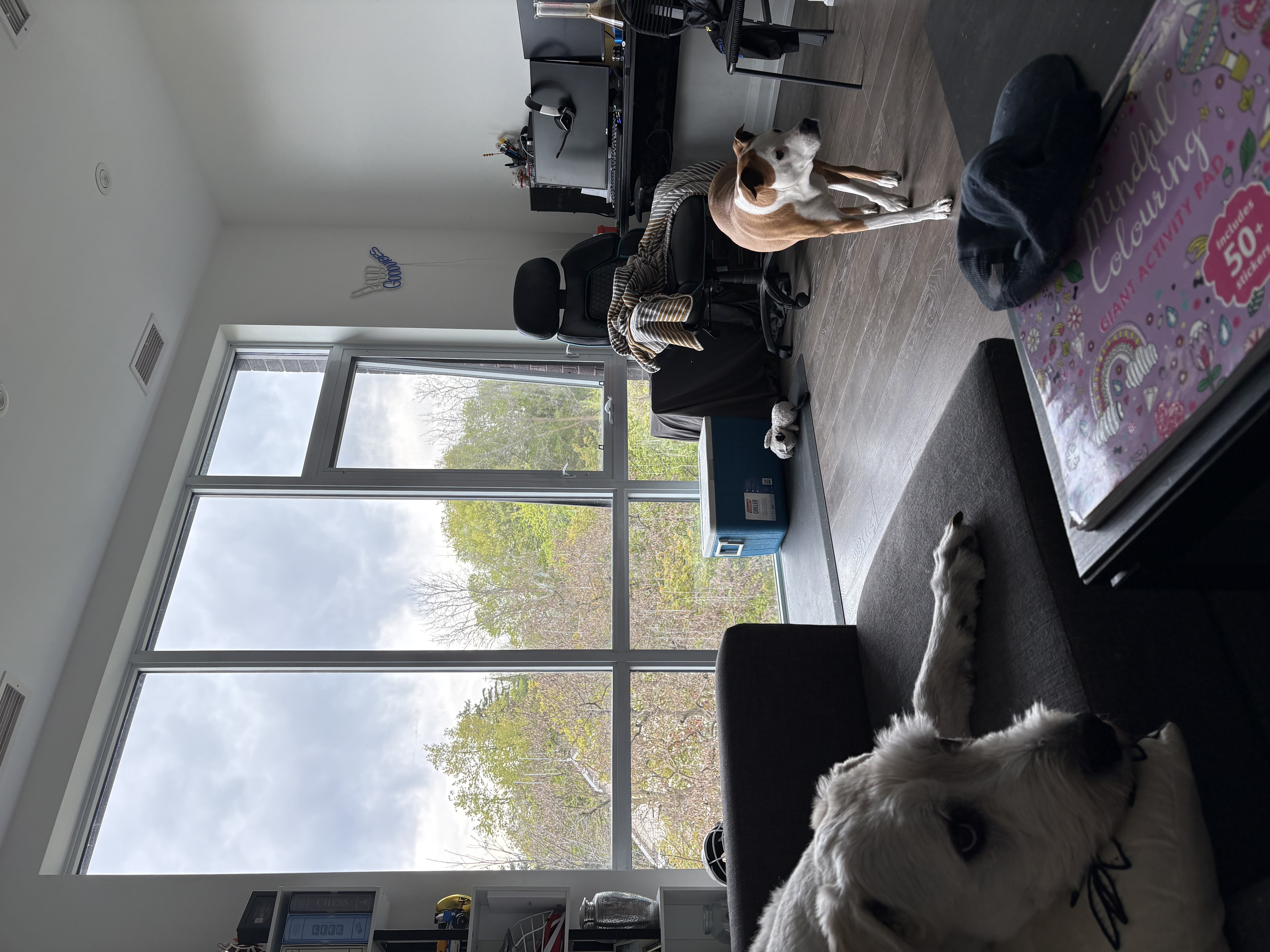 Gillian B. — photo 7